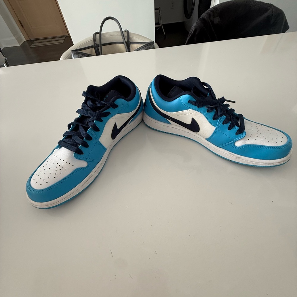 Nike Men’s Air Jordan dunk lows- 10 US
